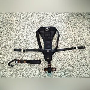 Dog Harness & Seat Belt